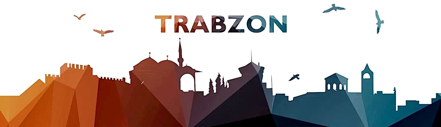 https://xervaniel.info/sube/trabzon-universite-subesi